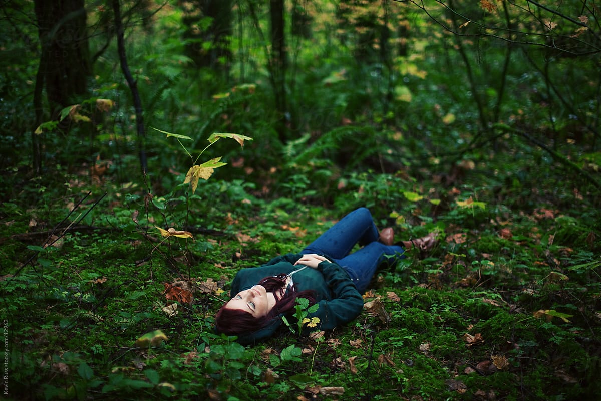 Нашли в лесу спящего. Сон в лесу. Сон Форест. Спокойный сон в лесу. Приснился сон лес.