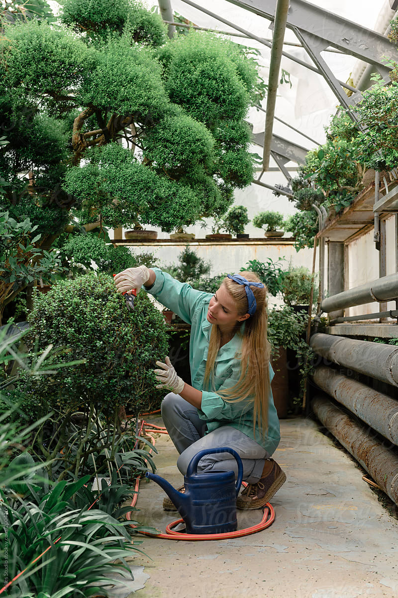 Pretty woman shaping green bush