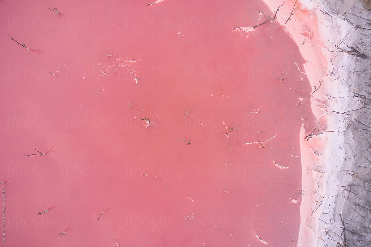 Pink Salt Lake Aerial