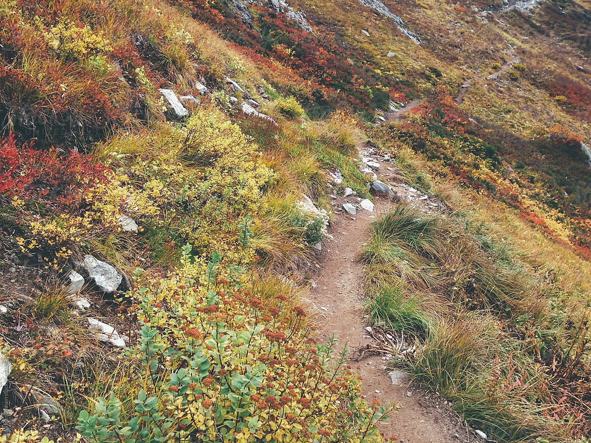 Hiking trail through alpine meadow in fall