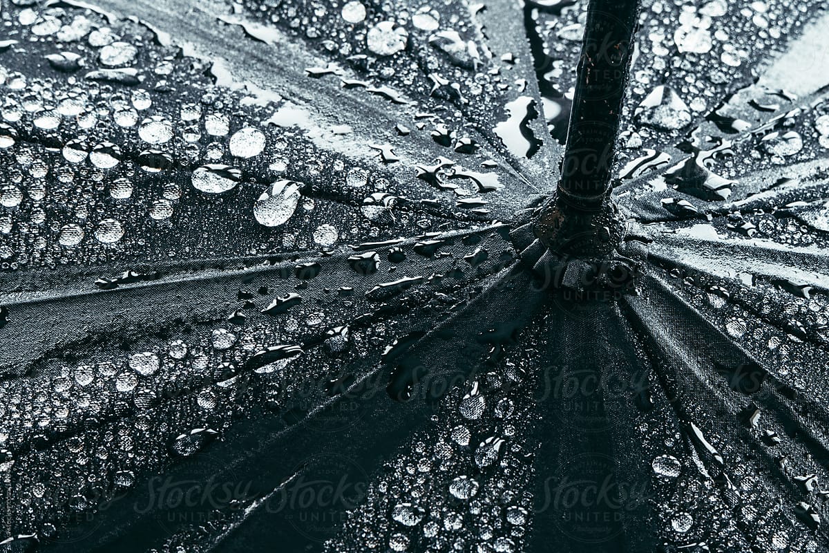 Black wet umbrella water drop nature rain weather outdoors