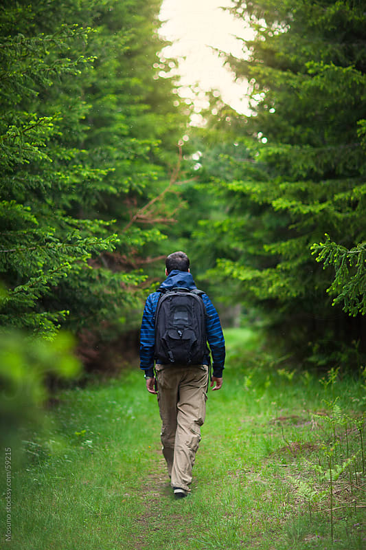Man walking through the fir forest. by Mosuno - Stocksy United