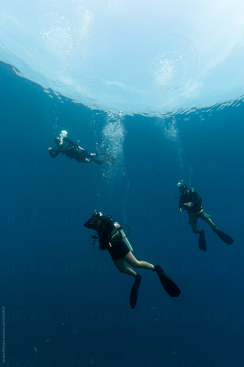 Group of scuba divers diving in