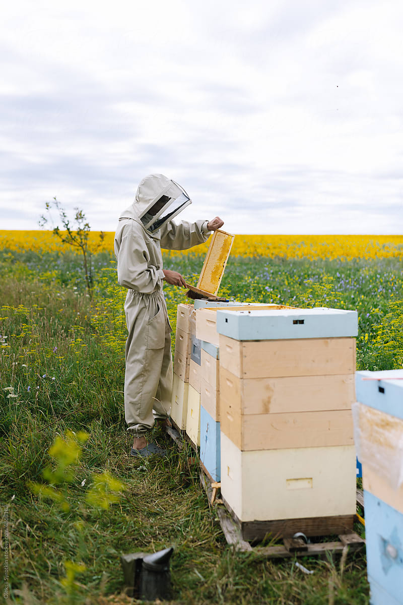 Farmer rustic beehive honey