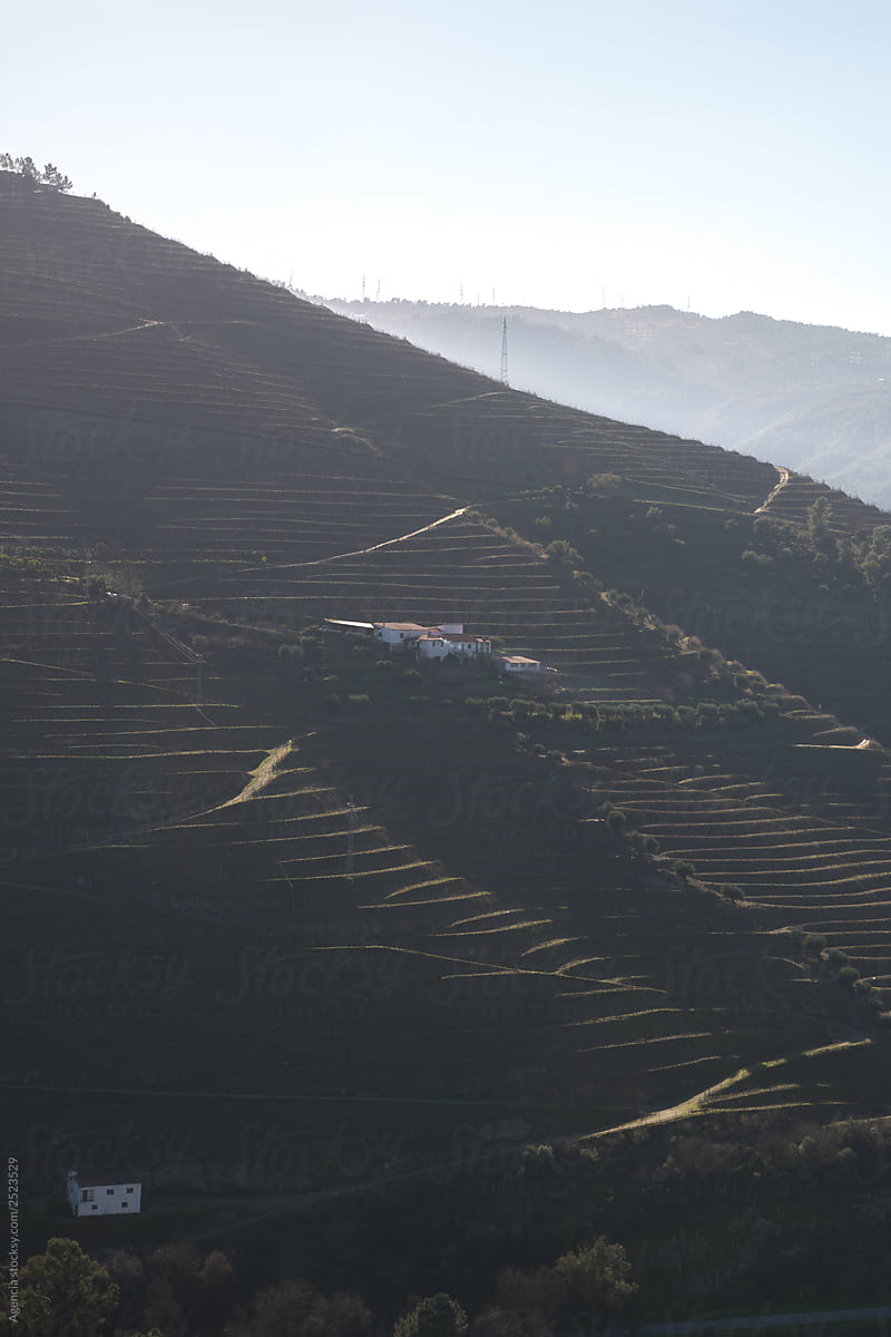 Douro Valley Patterns