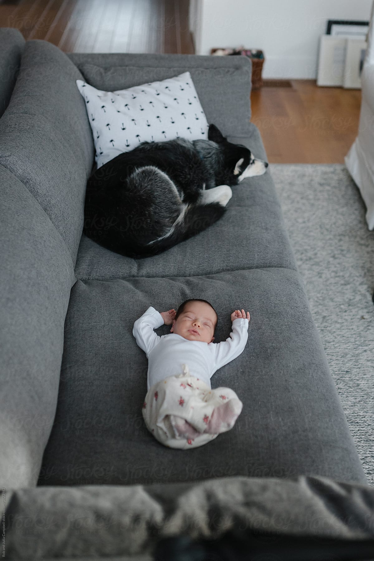 infant couch