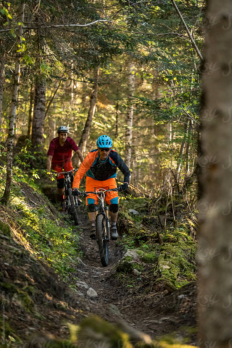 Two mountain bike riders in action