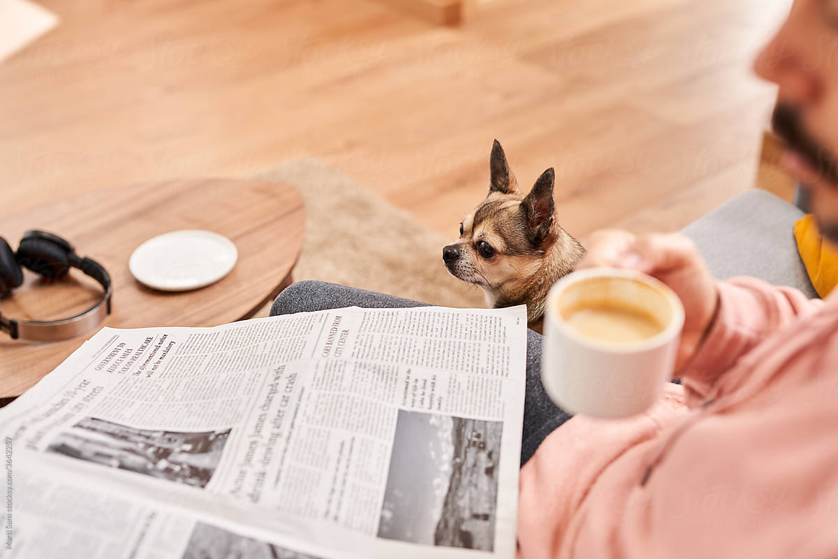 Man with dog drinking coffee and reading newspaper