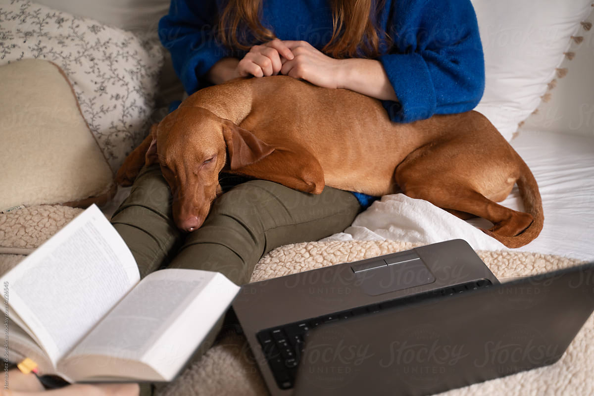 Woman With Dog, Laptop And Book
