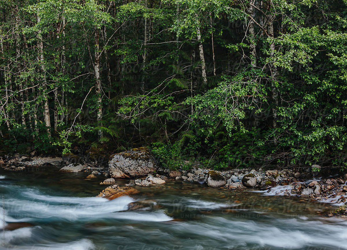 River Flowing Through Lush Temperate Forest Long Exposure By Stocksy