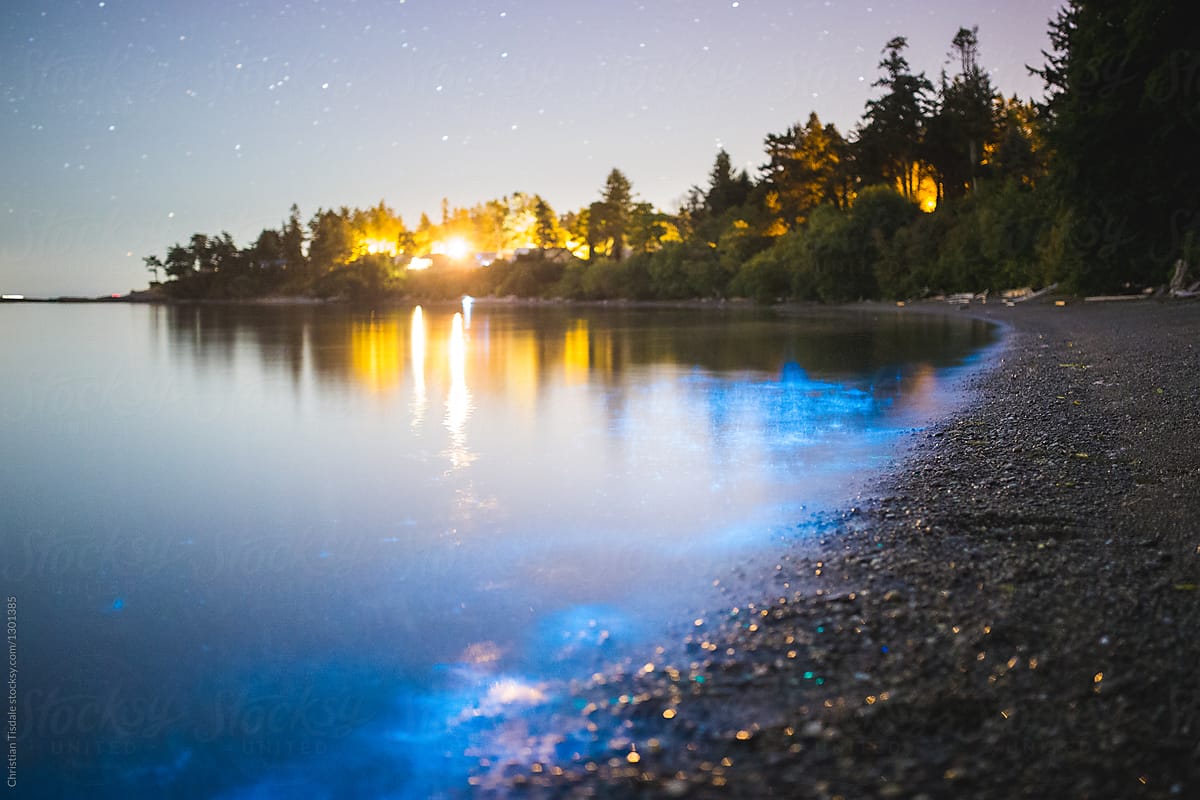 Bright blue bioluminescence glowing on the shore of the ocean at night