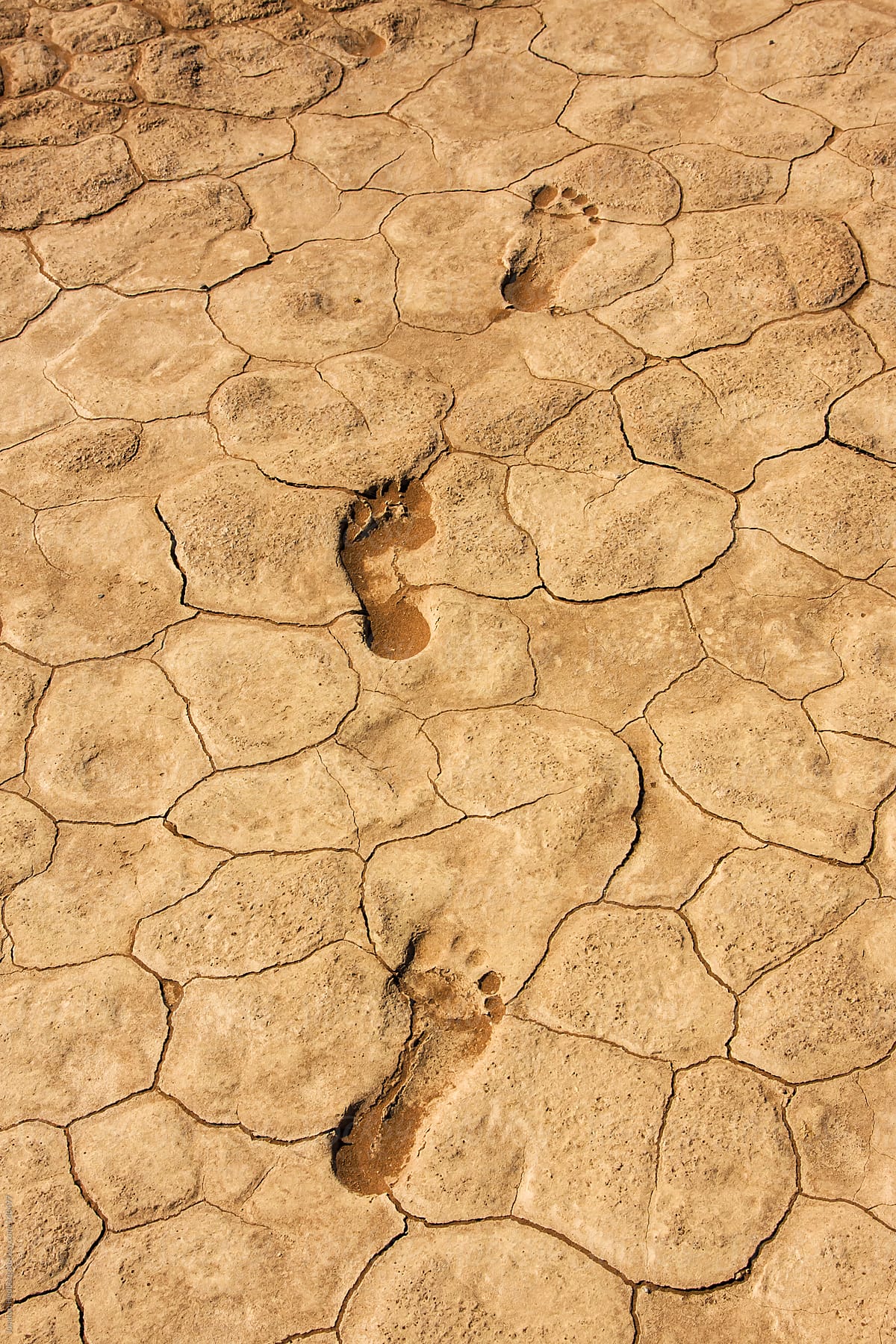 Footprints in the parched ground