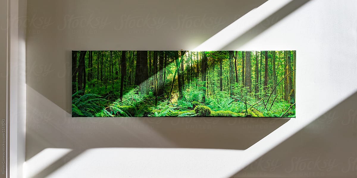 Panoramic Canvas Print On Sunny Wall