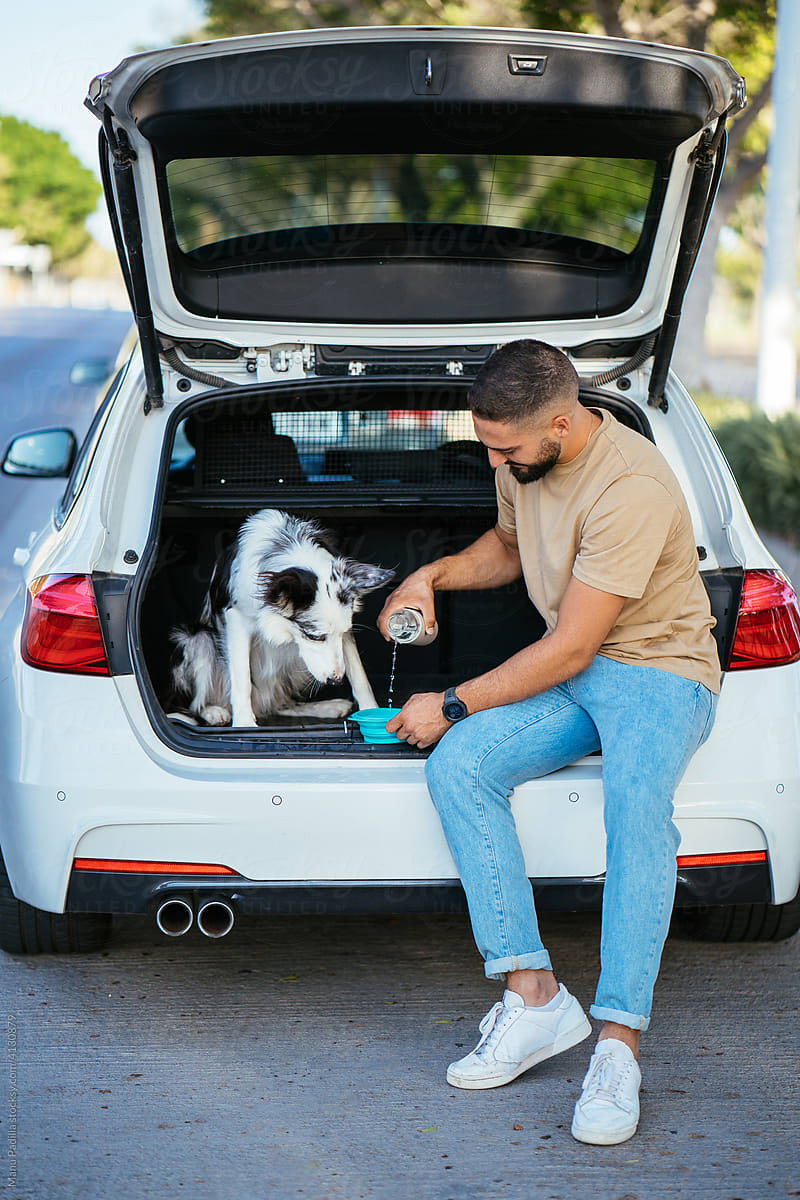 Owner giving water to dog in automobile
