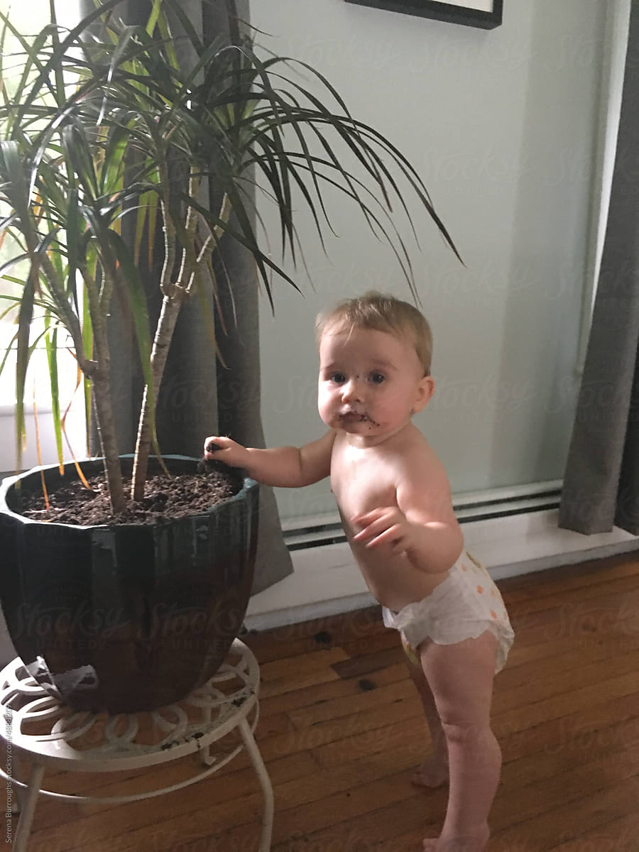 ugc of baby digging in houseplants