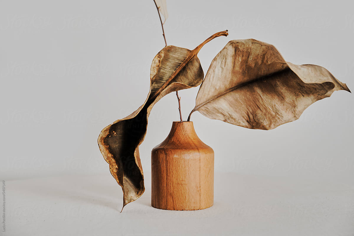 Home decoration - wooden vase and dry leaves