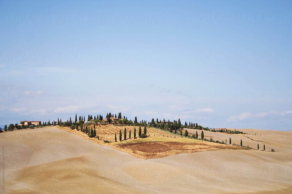 The Crete Senesi landscape of Tuscany, Italy, characterized by its rows of Cypress Trees.