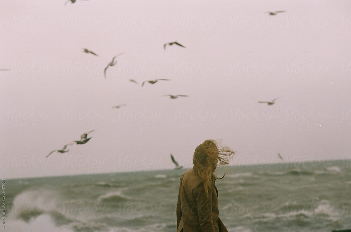 Море птицы девушка