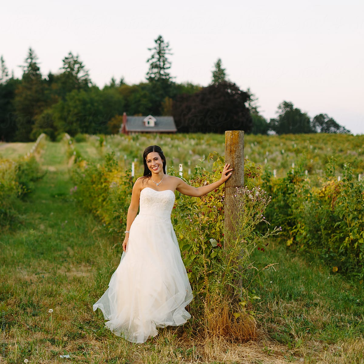 Bride Leans on Post at Farm