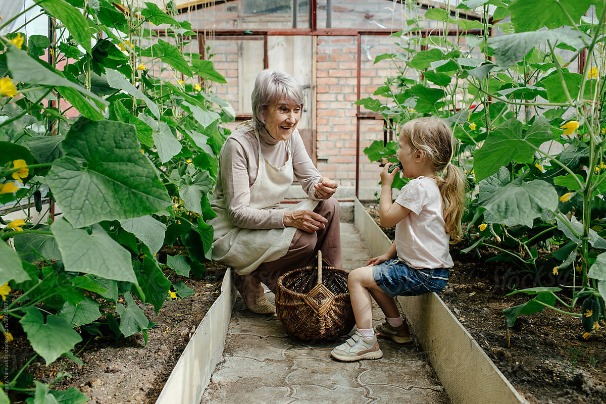 Cheerful granny and granddaughter in glasshouse
