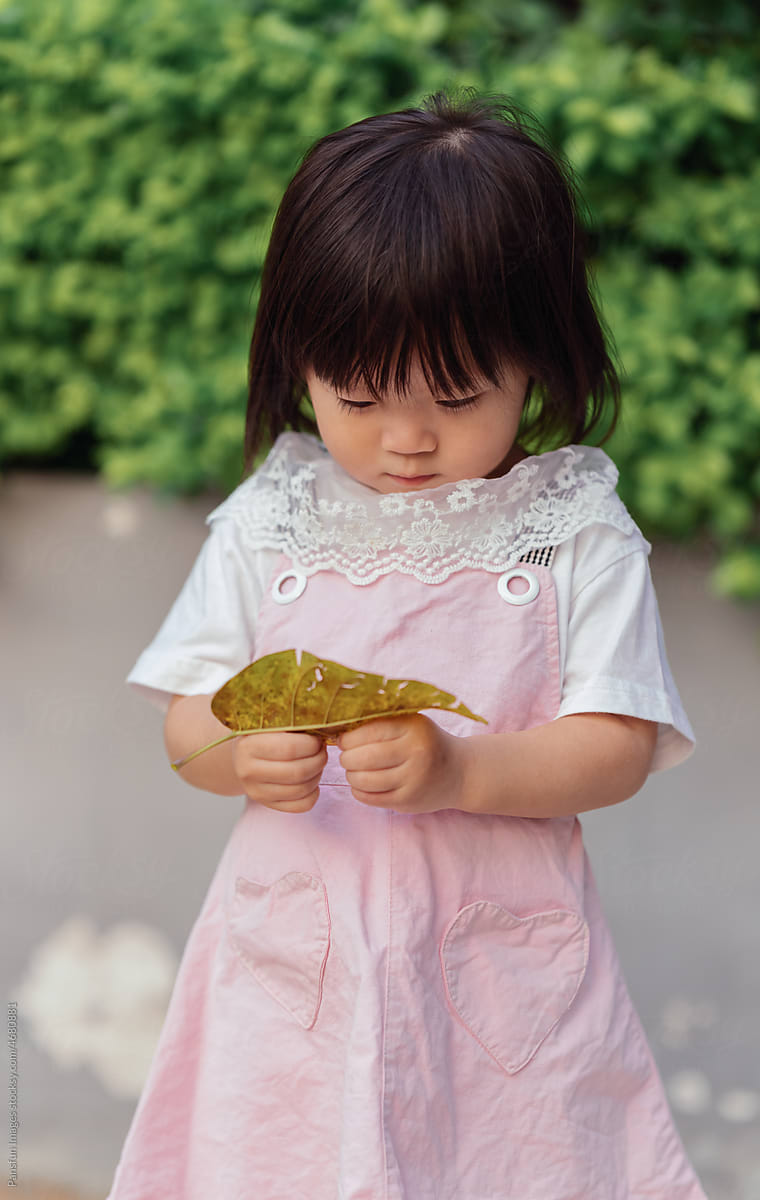 fallen leaf in hand of a child