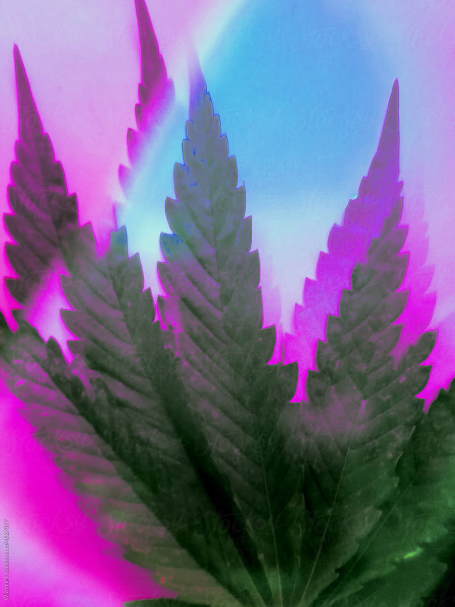 Marijuana, cannabis leaf pattern with prism effect