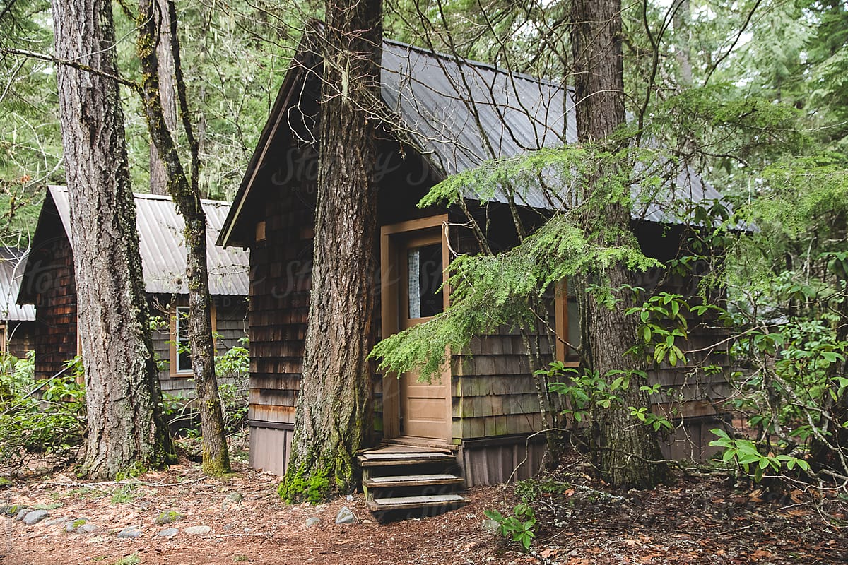 Small cabins in the woods