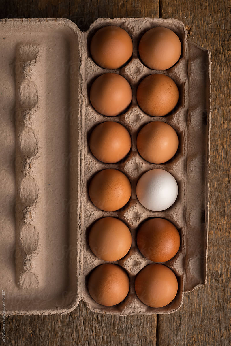 Concept: Be Unique - One White Egg in Carton of Brown Eggs