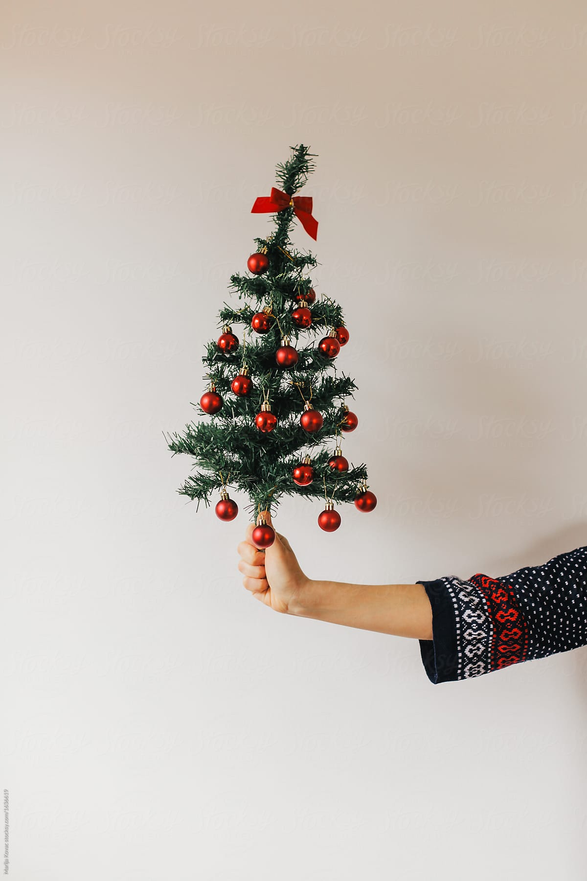 Woman holding a christmas tree