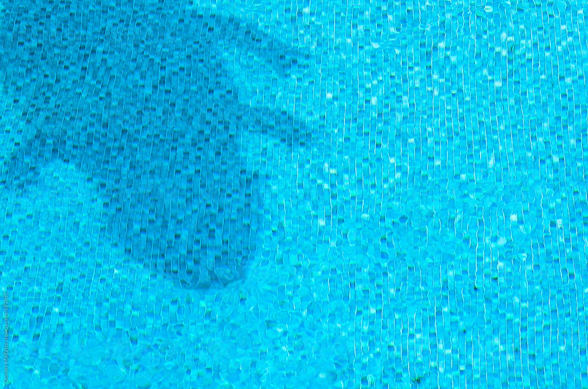 ominous shadow of an alligator pool float