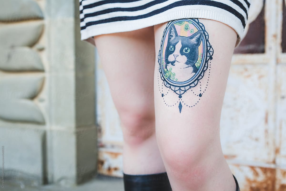 WIP) One more sitting left for my cat thigh piece - done by Ryan at Rand  Family Tattoo, Windang NSW, Australia. : r/tattoos