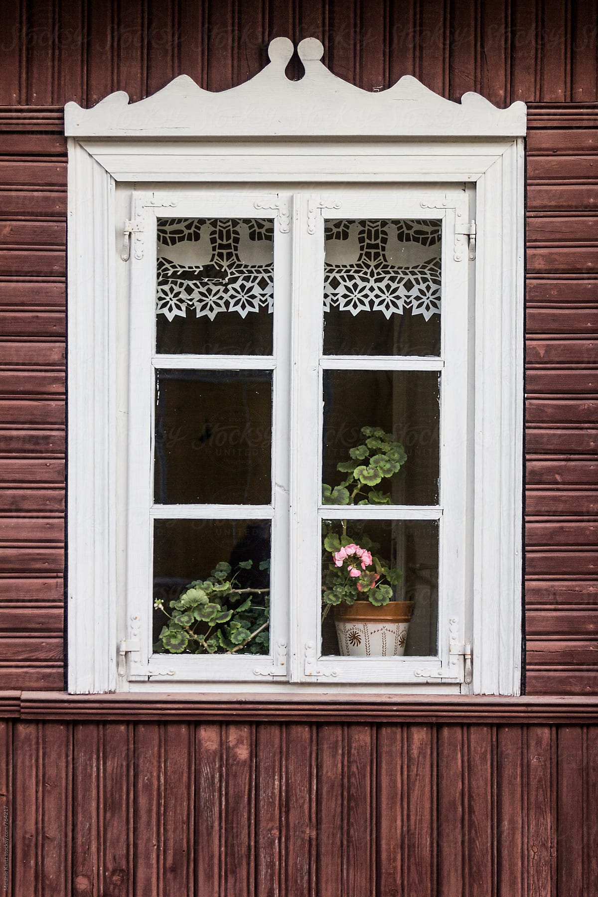 Geranium in the window of a traditional Lithuanian wooden house
