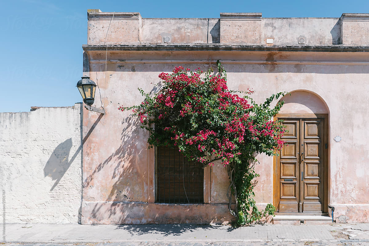 Pink Facade With a Wooden Door And Flowers.