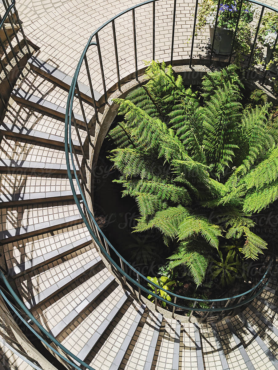 Spiral staircase with ferns