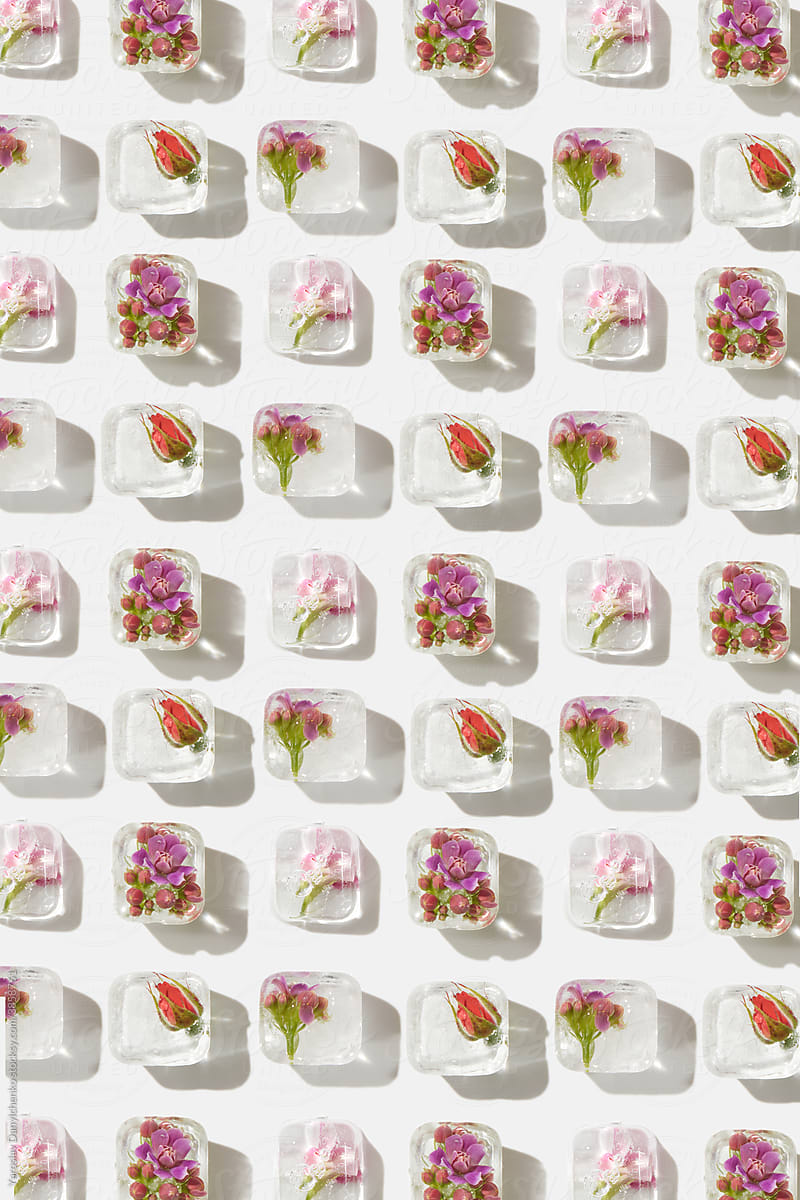 Pattern of ice cubes with red and violet flowers