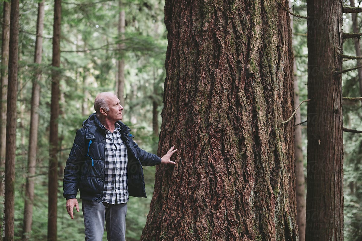 Rugged older man on a hike in old growth forest