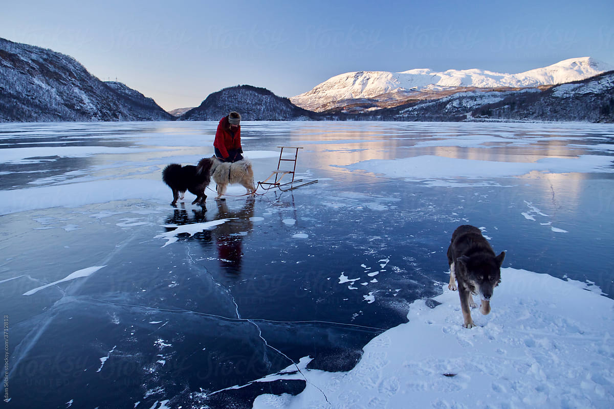 Frozen in Arctic lake ice - female with sled dogs