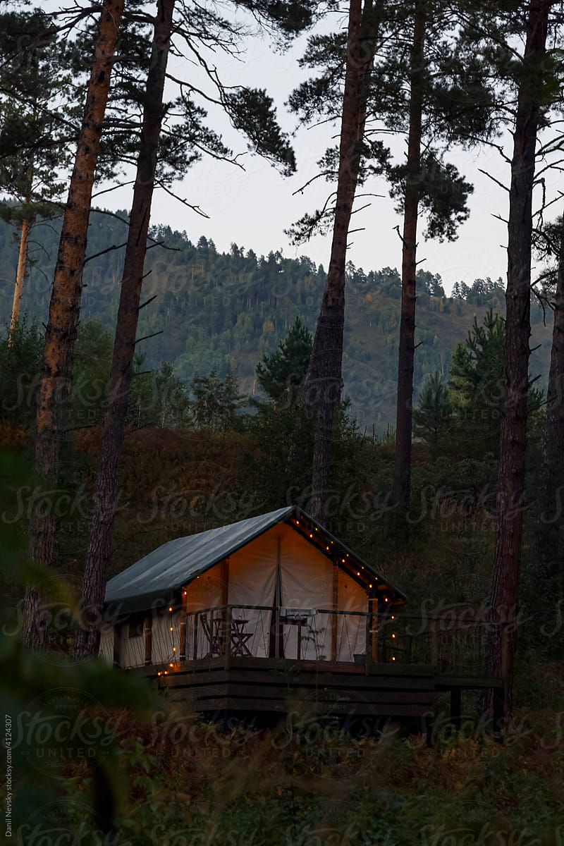Camping house in coniferous forest