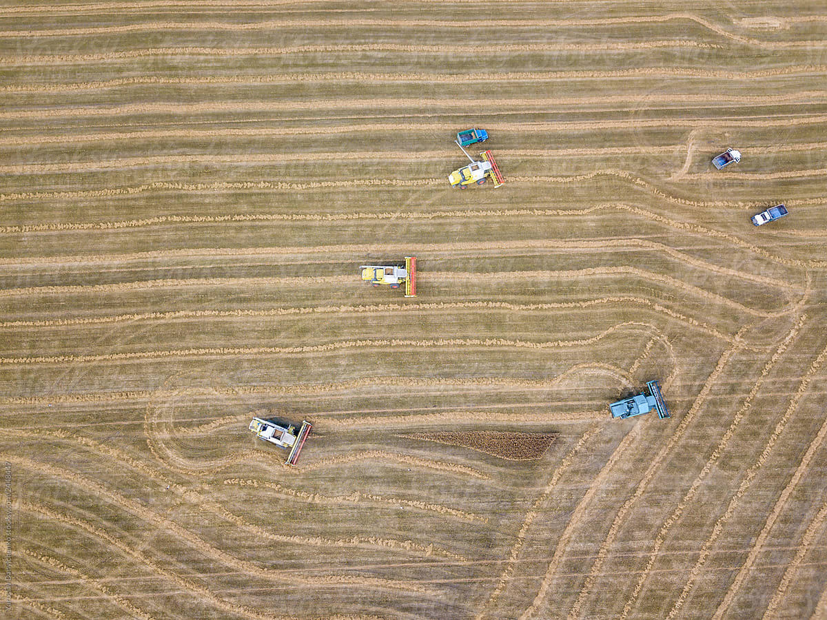 Agricultural machinery from bird\'s eye view. Harvesting process
