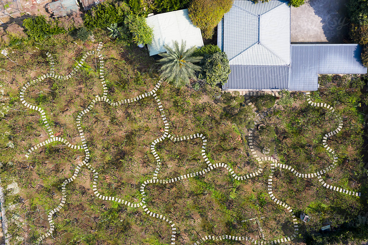 Bricks build curved paths in tree nursery, garden aerial view.