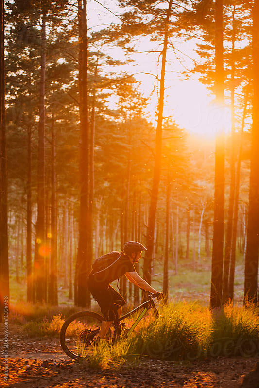 A golden sunset lights up the forest as a male rider cycles past