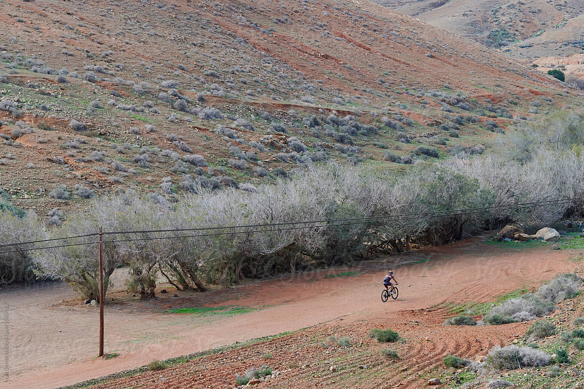 Man mountain biking along a dirt trail