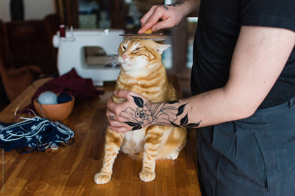 Man grooming cat with fun expression