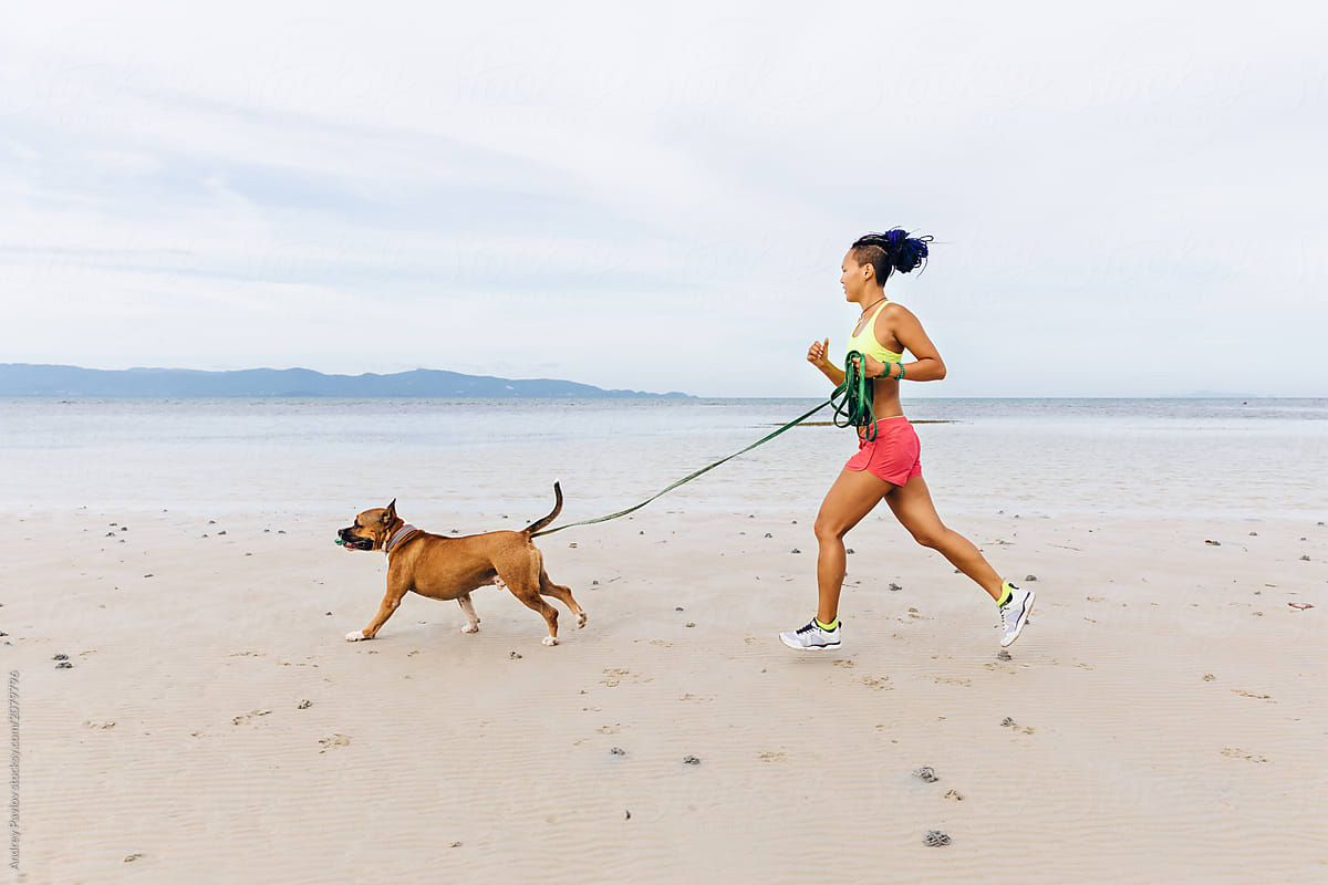 Woman doing fitness with a dog on the beach