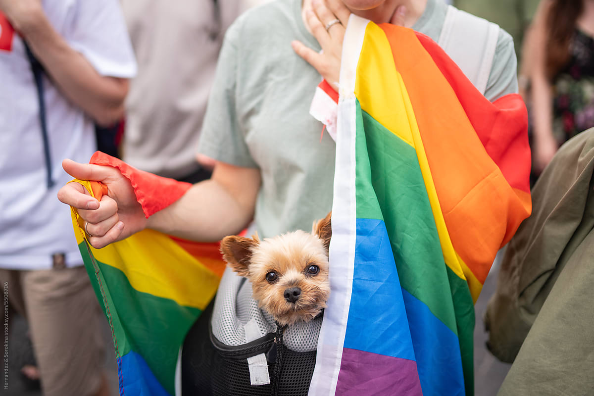 Anonymous Person With Dog Covered With Pride Flag