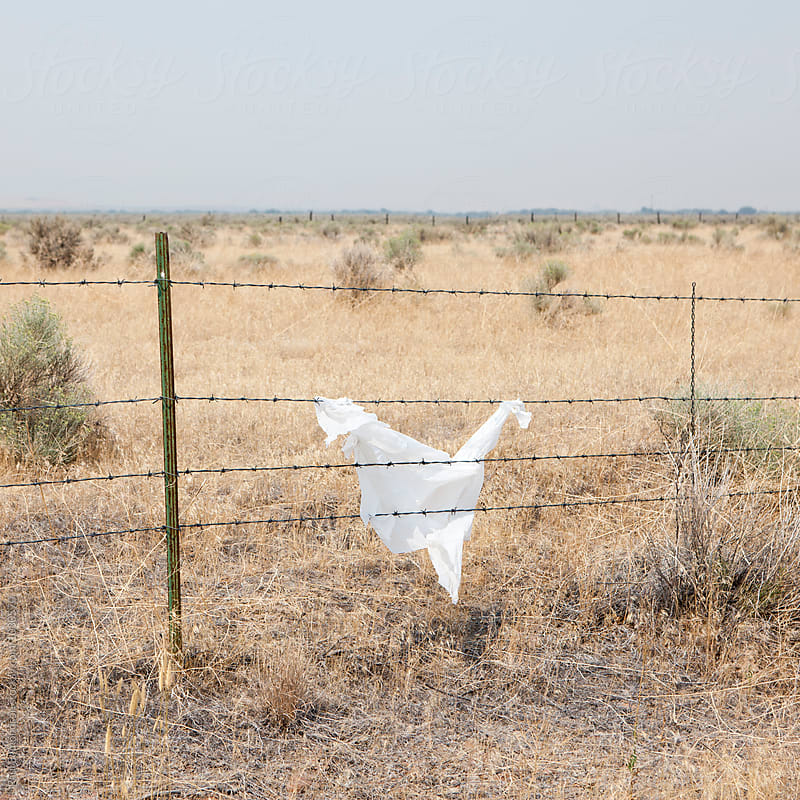 Remains on plastic grocery bag hanging from barbed wire fence, Oregon