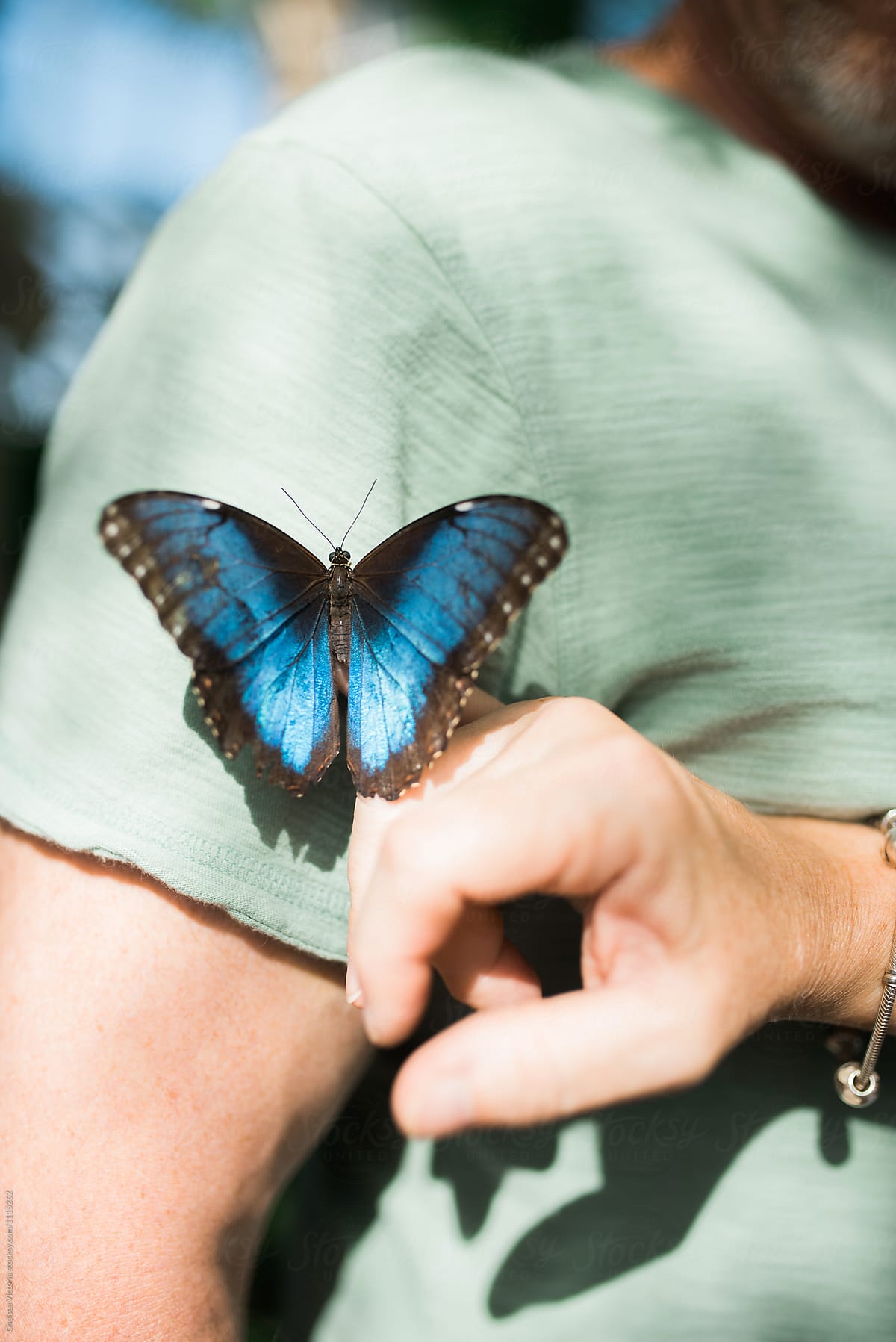 A woman touching a butterfly