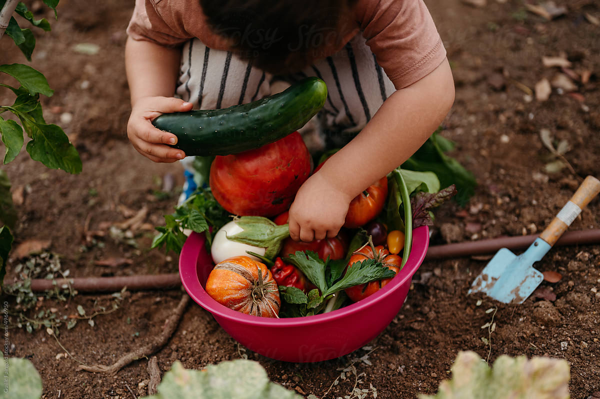 Child examining vegetables
