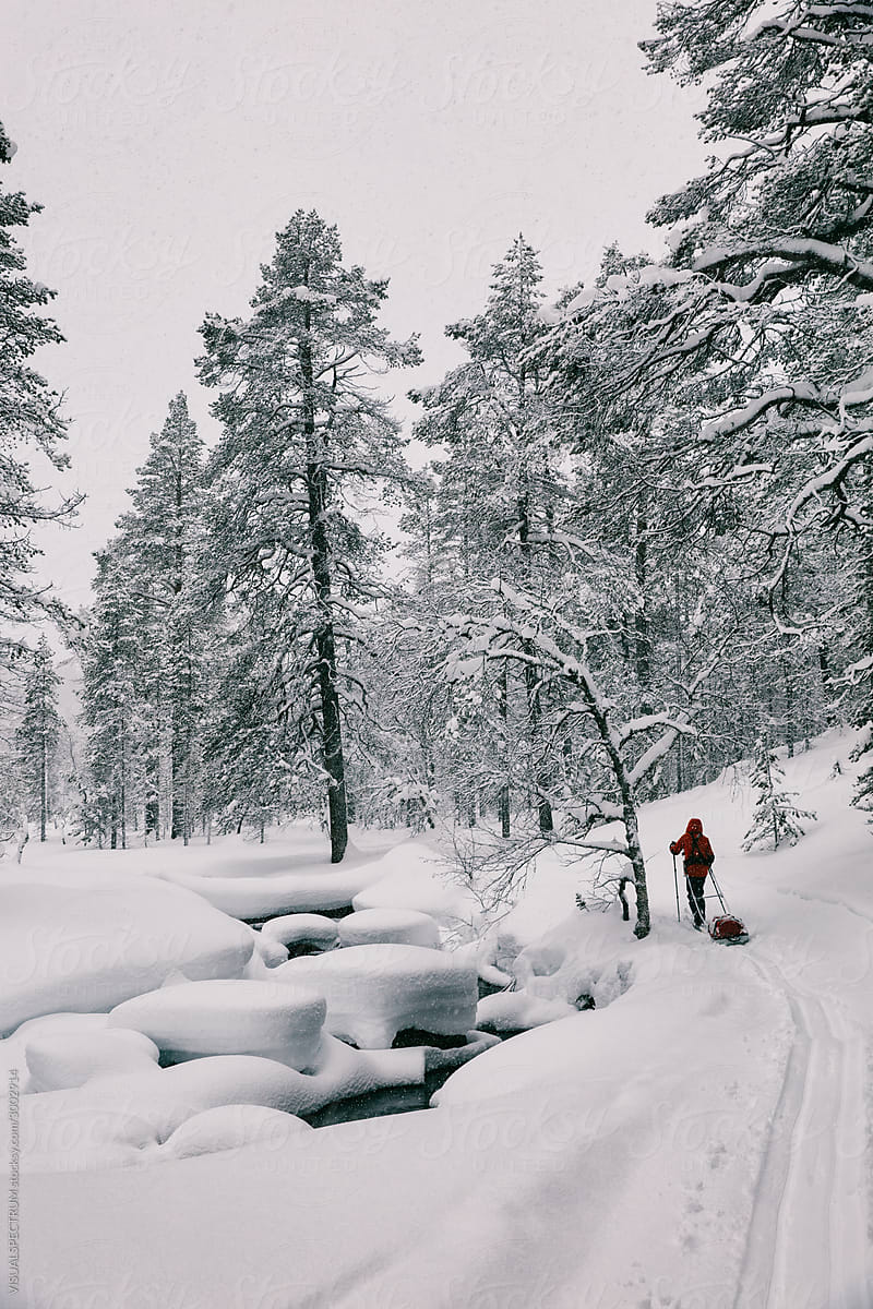 Backcountry Skiing in Proper White Winter Landscape