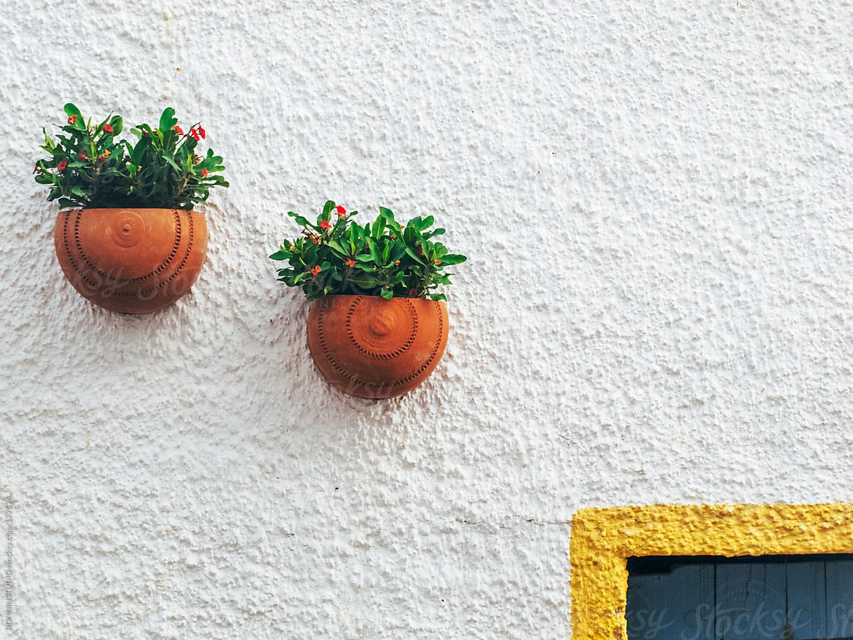 Hanging plants on street walls of Almeria, Spain.